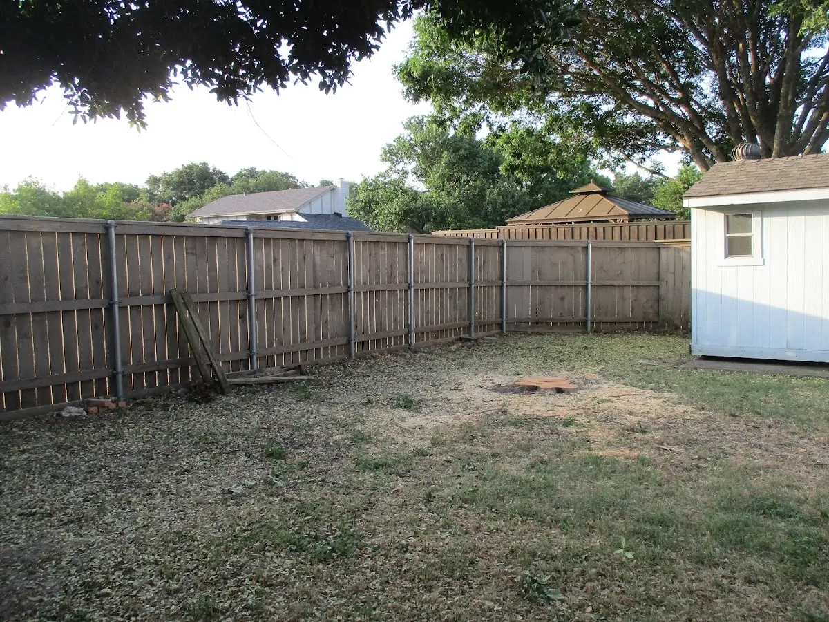Cleared yard after professional tree removal in North East